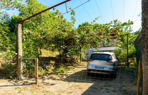Casa da Eira "Lavoura da Bouça - Fruta Bio" - Foto 21
