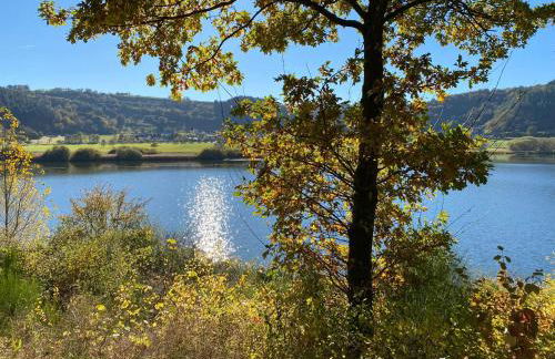 Ferienwohnung Feiden Eifel-Mosel Lounge - Foto 37