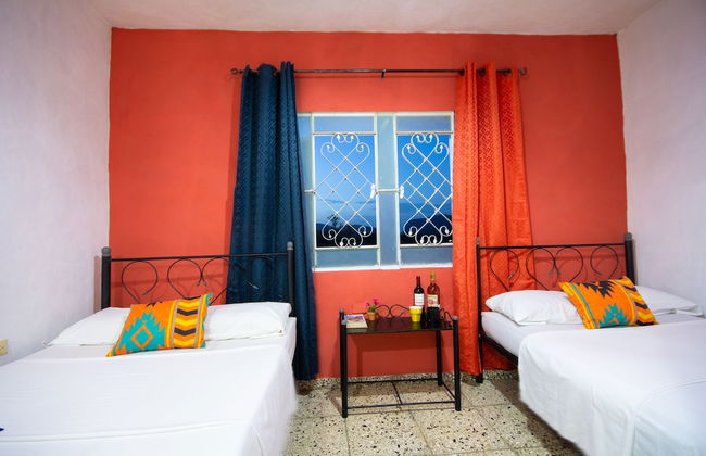 Holiday rental in Viñales with garden and terrace - Photo 2