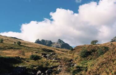 Viking Cottage - Foto 28