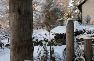 Strandgut und Feuerstein - Foto 6