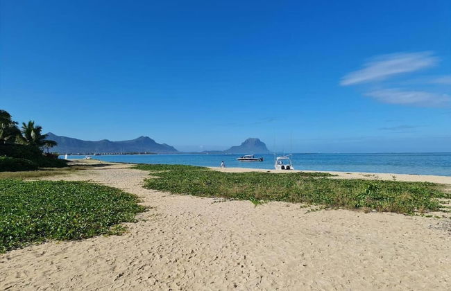 Rooftop Garden Villa Private Pool - Beach Access - Photo 46