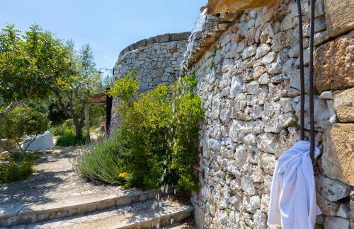 Pajara Rugiada - Foto 39