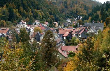 Moderne Ferienwohnung am Rennsteig zum Wohlfühlen - Foto 28