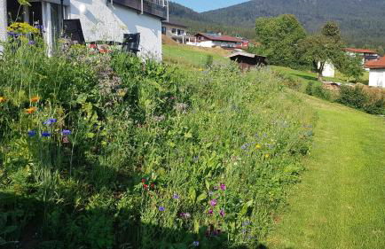 Wohnung Wiesengrün - Osserblick - Photo 25
