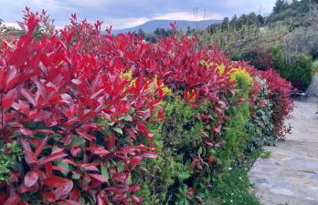 Panorama Studio Afetes - Photo 70