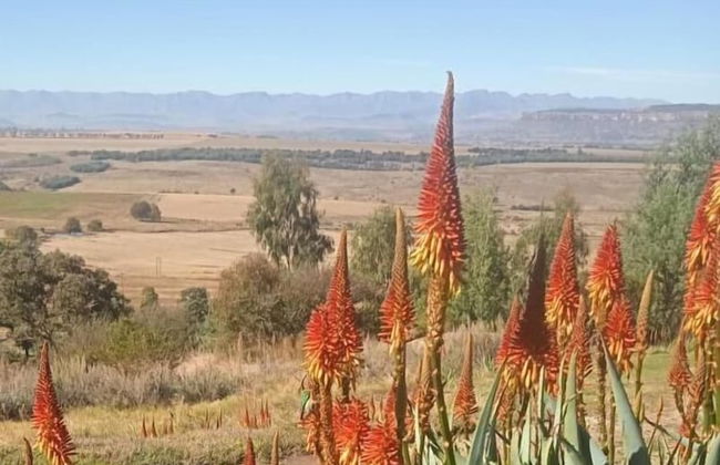 Boschfontein Mountain Lodge - Foto 26