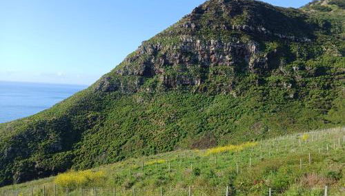 Sao Lourenco - Foto 5