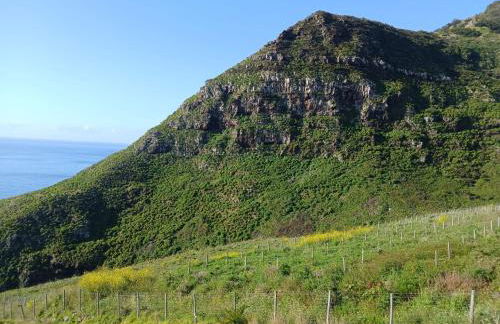 Sao Lourenco - Foto 5