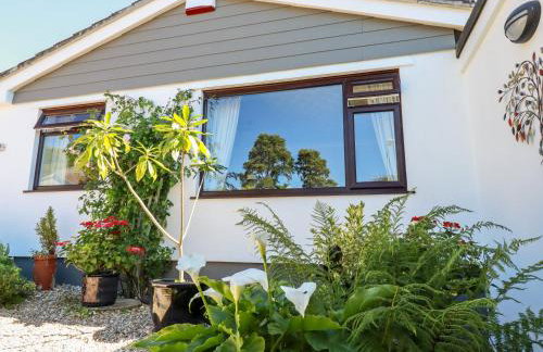 Jenny Wren - Foto 29