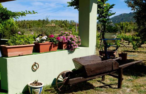 Casa Museddu - Foto 35