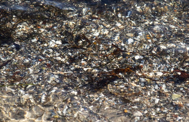 Cozy Retreat in Binderup - By Traum Ferienwohnungen - Foto 13