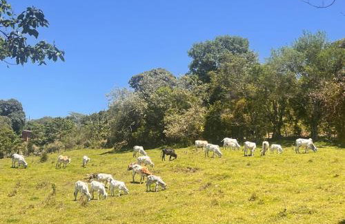 StayBr Casa Lolla - Country House - Foto 20