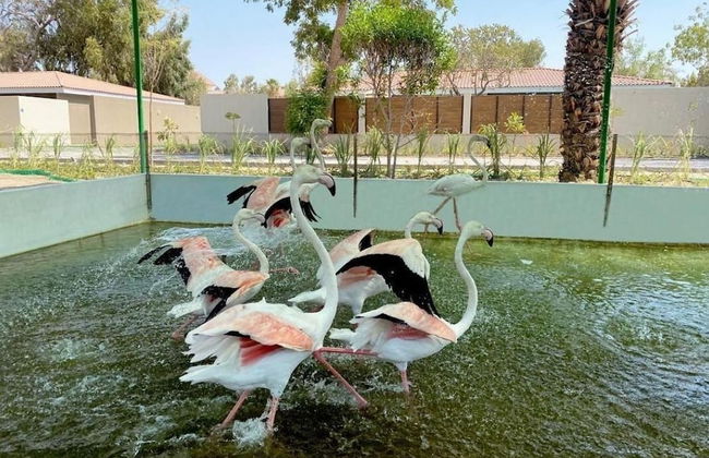 Nordic Gardens - Foto 52