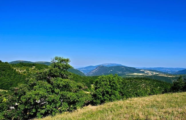 Borgo La Torre - Photo 46