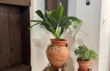 Casa Dolores la peluquera - Foto 3