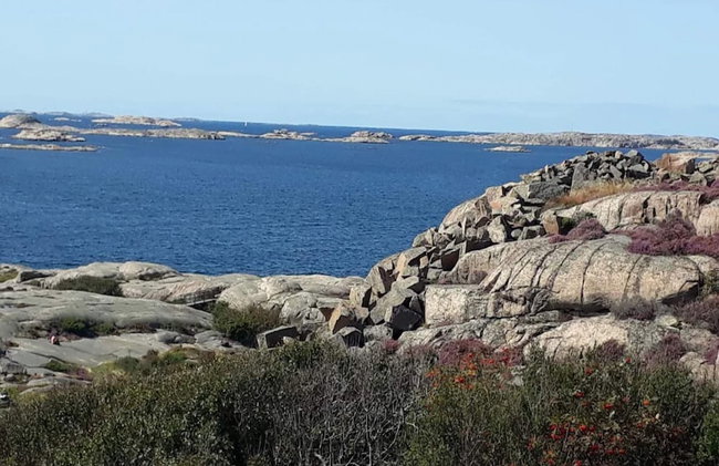 4 Star Holiday Home in Hamburgsund - Foto 31