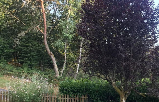 Peaceful Countryside Home - Foto 20