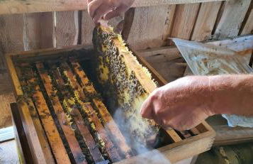 Ferienhof Rindalphorn mit Sauna in ländlicher Idylle - Foto 33