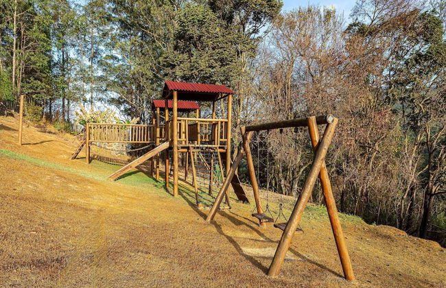 Fazenda Realeza - Foto 79