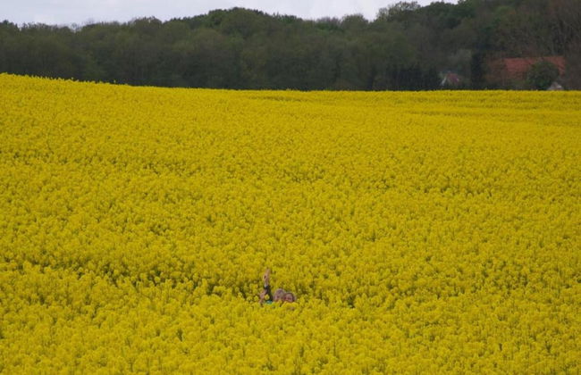 Cozy Holiday Home in Hohenkirchen near Baltic Sea - Foto 36