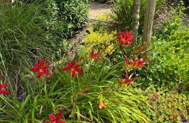 Gästezimmer Am Haarhaus - Foto 8