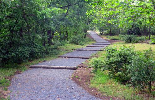 Boscoscuro - Foto 32