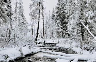 Exklusive 82 qm Loftwohnung mit Tiefgarage und Süd-Balkon zentral - Foto 12