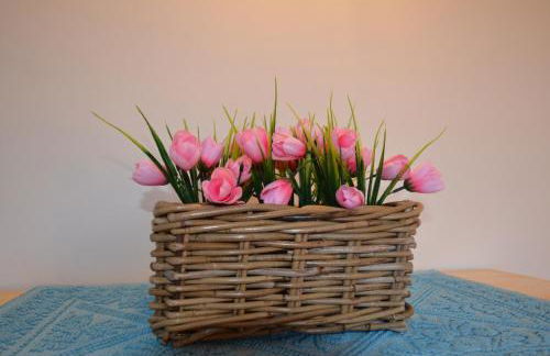 FSL-Quas01 - Foto 13