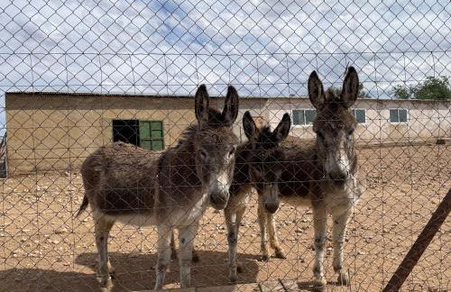 Casa Rural Mi Pueblo - Foto 32