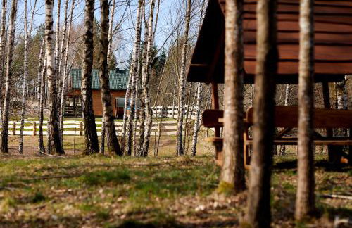 Apartamenty Białe Brzozy - Photo 51