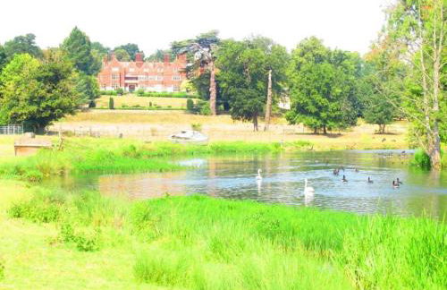 Farm woodland riverview cabin bbq firepit pet friendly - Foto 59