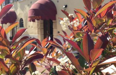 Apartments Colombara Bardolino - Foto 31