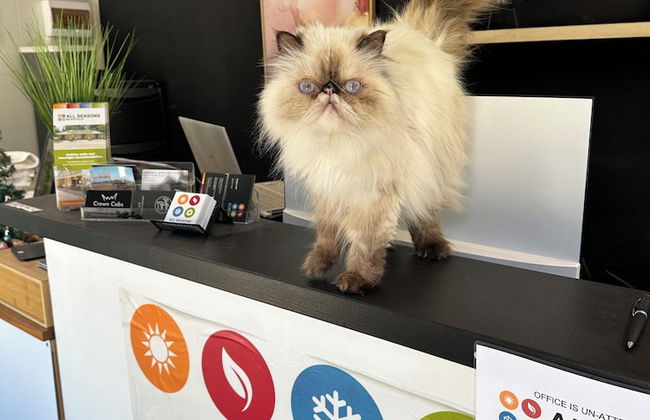 All Seasons Mansfield - Photo 4