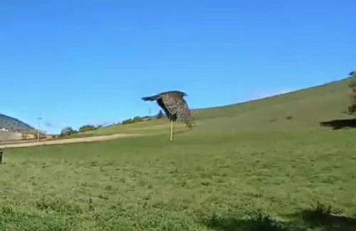 House in Seggio, peace in the green heart of Umbria - Foto 24