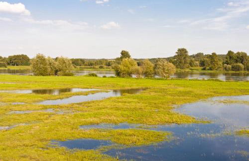 Apartment in Müncheberg 53547 - Photo 17