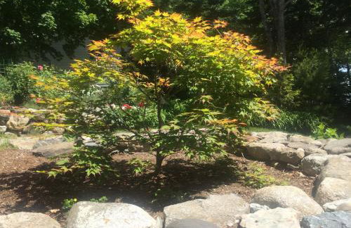 Acadia Ocean Front Garden Cottages - Foto 63