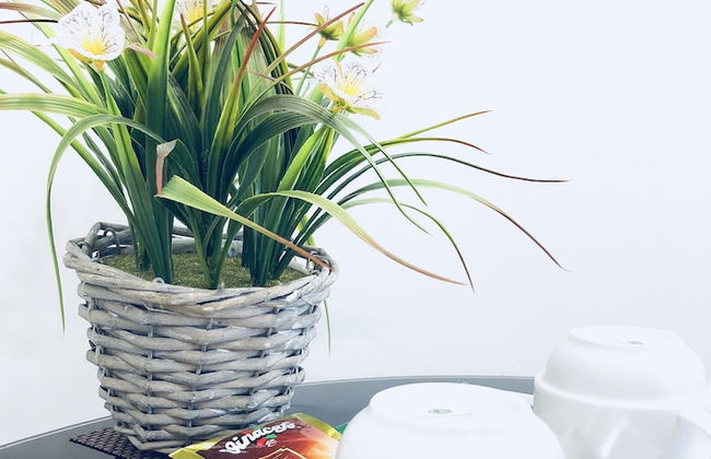 Herla Central Saigon - Foto 67