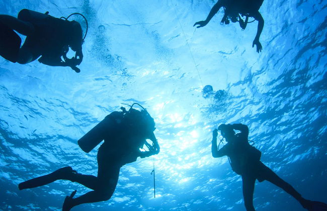 Mindelo Diving Introduction - Photo 1