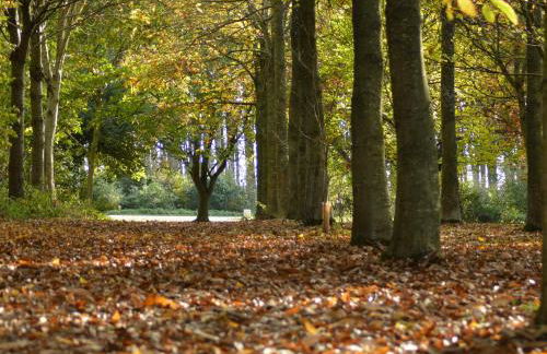 Walnut Cottage - Ukc4657 - Photo 30