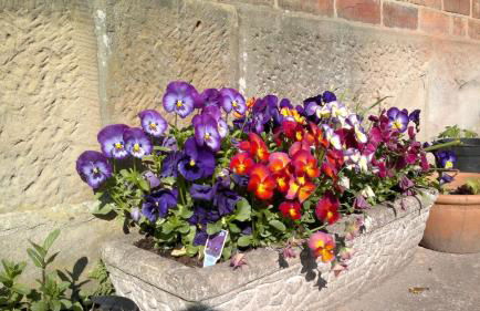 Hillside Cottage - Foto 14