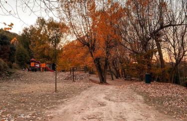 EL TEULAR DE CARMEN - Foto 42