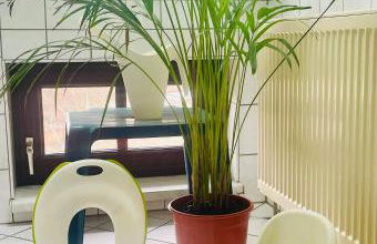 P6 - Familienwohnung am Park und Saale - Foto 29