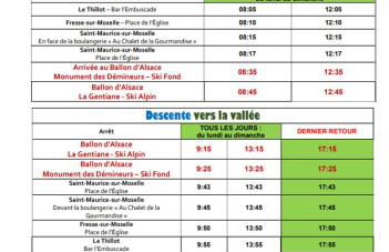 Gîte de famille dans les Vosges - Foto 42