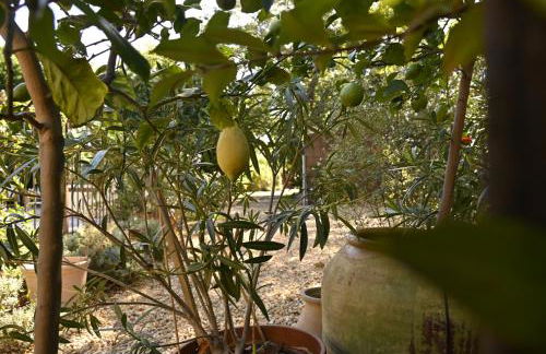 Bastide le Petit Clos - les 2 Gîtes - Foto 4