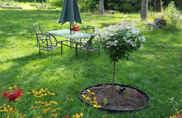 Deer Valley Retreat, Lovely Log Cabin with Fireplace & Garden Views- Perfect for a Relaxing Getaway! - Foto 13