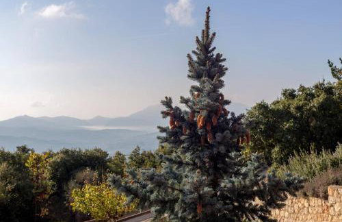 CHALET REGINA - Foto 13