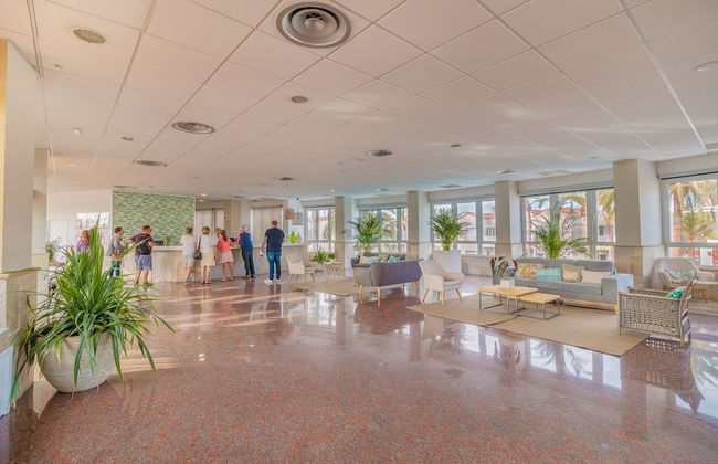 Apartamentos LIVVO Koala Garden - Foto 3