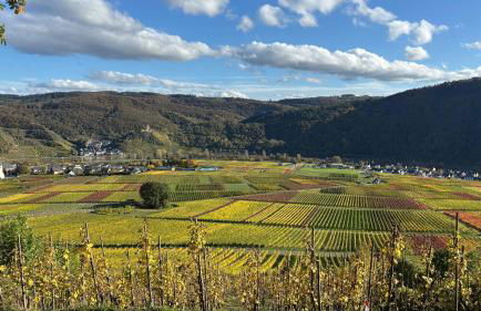 Haus im Weinberg - Foto 43