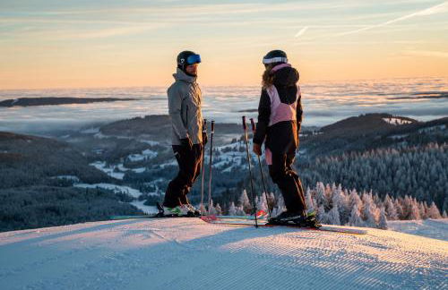 Ferienhaus Vogelsang - Foto 67